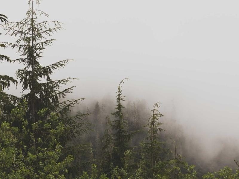 Discord账号交易<br>买卖过户防骗防找回标准流程